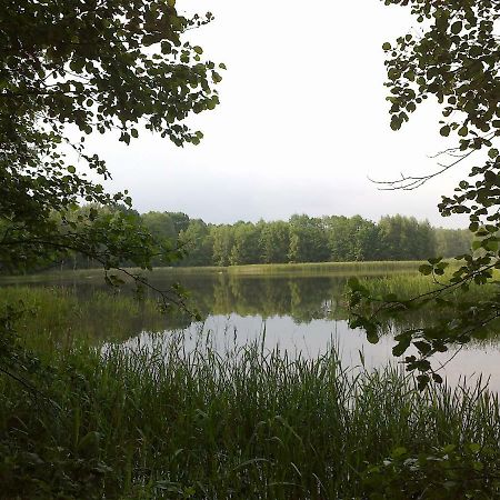 Ferienhaus Knappensee Lohsa Ngoại thất bức ảnh